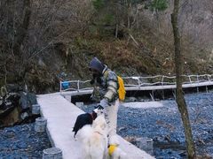 -凤凰山国家森林公园