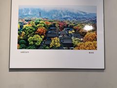 -金陵图书馆