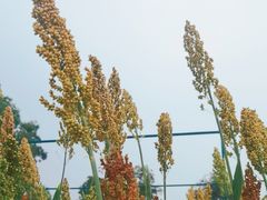 -北京古代建筑博物馆