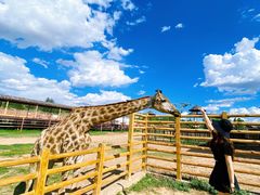 -鄂尔多斯野生动物园