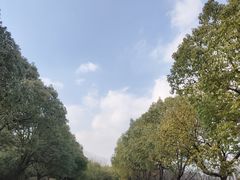 -南京市江宁方山