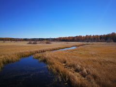 -塞罕坝国家级自然保护区
