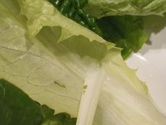 -快乐小羊·内蒙牛羊肉火锅(流花中心店)