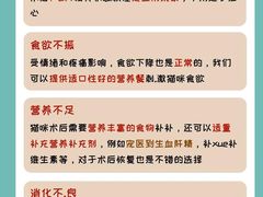 -瑞派天使宠物医院·神经外科·骨科·核磁(洛川中路店)