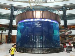 -OPEN開全日自助餐厅·牛肉火锅·海鲜(佛山希尔顿酒店)