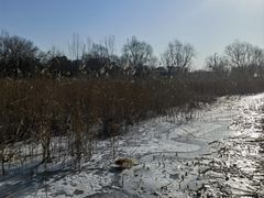 -绿堤公园