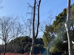 -嘉北郊野公园