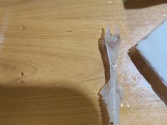 -老字号怡玺·藿香雅鱼(20年雅安店)