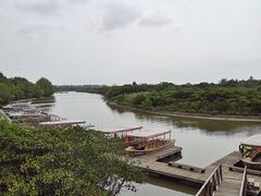 -东寨港红树林旅游区