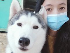 -Husky Go! 哈士奇体验馆·宠物咖啡厅狗咖