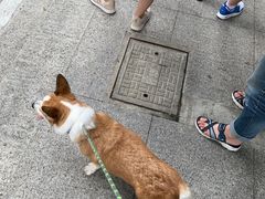 -胖子煎饼店(钦州南路店)