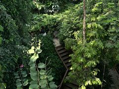 -郑州植物园