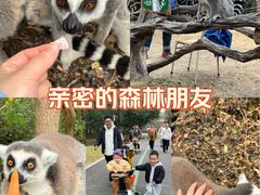 -宁波野生动物园