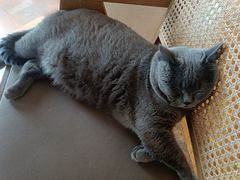 -Me Coffee下午茶艺术空间