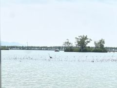 -野鸭湖国家湿地公园