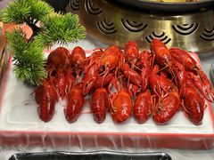 -侠舍·江湖烤全羊·大排档(沌口总店)