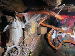 -青岛嘉年华主题乐园