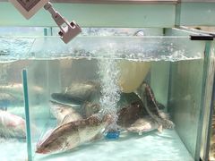 -中百生活剧场(泛海城市广场店)