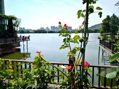 -东湖食堂·湖景餐厅•会议