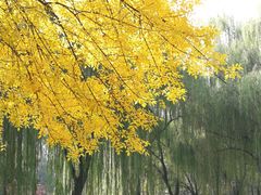 -玲珑塔公园