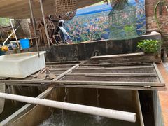 -八仔大富楼·河鲜(西江店)