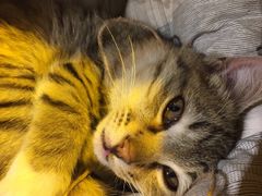 -在路上酒吧(大理古城店)