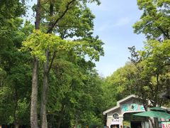 -紫金山索道-售票处