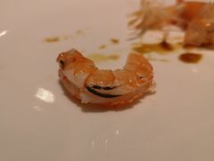 -厦门艾美酒店·新食谱西餐厅