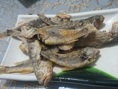 -晓伟海鲜家常菜