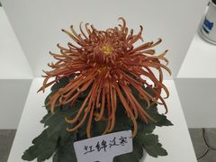 -共青国家森林公园-售票处