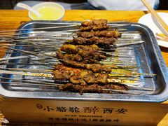 -福苗小骆驼烧烤(莲湖路店)