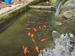 -途中饭店(开化店)