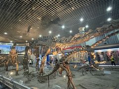 -国家自然博物馆