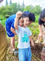 -前小桔亲子创意农场·草莓采摘·露营烧烤