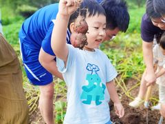 -前小桔亲子创意农场·草莓采摘·露营烧烤