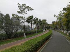 -五缘湾湿地公园