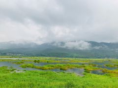 -腾冲北海湿地