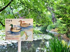 -北海道厅旧本厅舍(旧本庁舎)