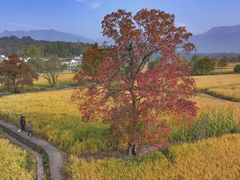 -塔川景区