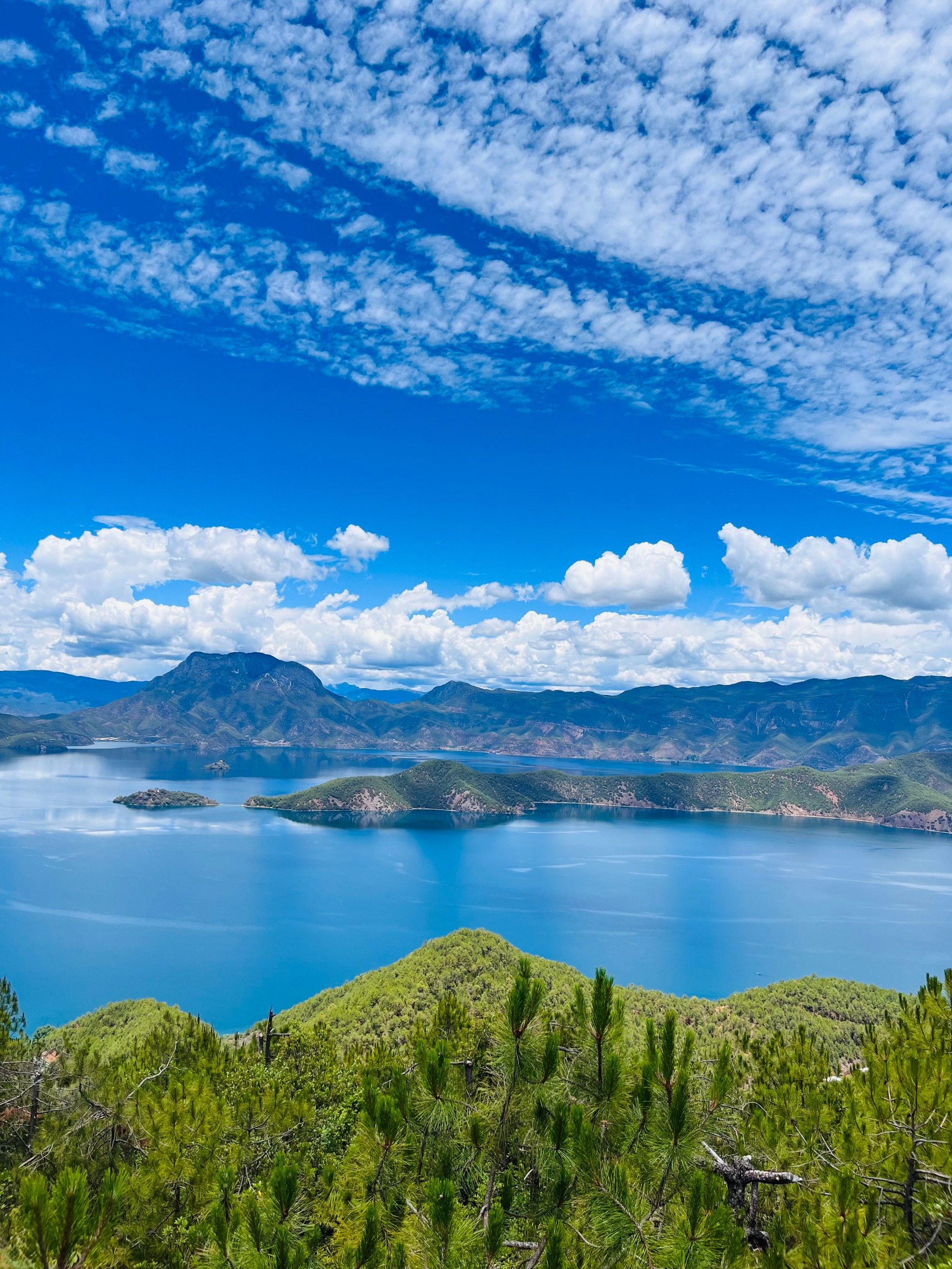 这次我们去的是宁蒗县的这边[惊讶]

去的时候刚好水性杨花开了