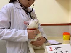 -素清香(解放路店)