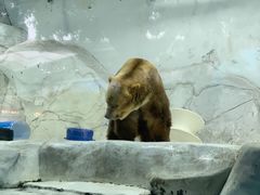 -海合安成都极地海洋公园