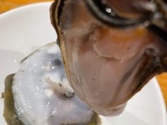 -烧蠔帮·湛江生蚝(工农店)