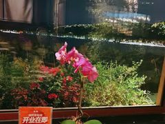 -湖畔居茶楼(湖滨店)