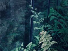 -远山有窑