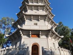 -深圳国际园林花卉博览园