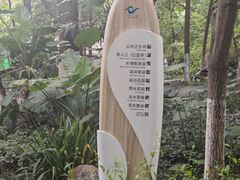 -成都市活水公园