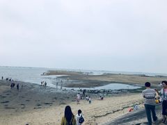 -北海金海湾红树林生态旅游区