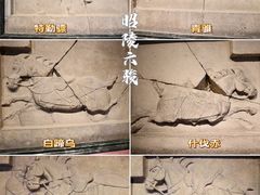 -西安碑林博物馆