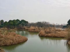 -梁鸿国家湿地公园